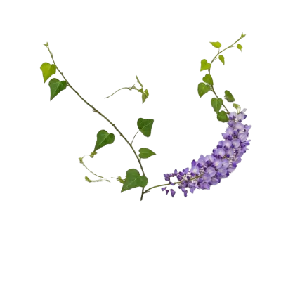 Imagen PNG para descargar